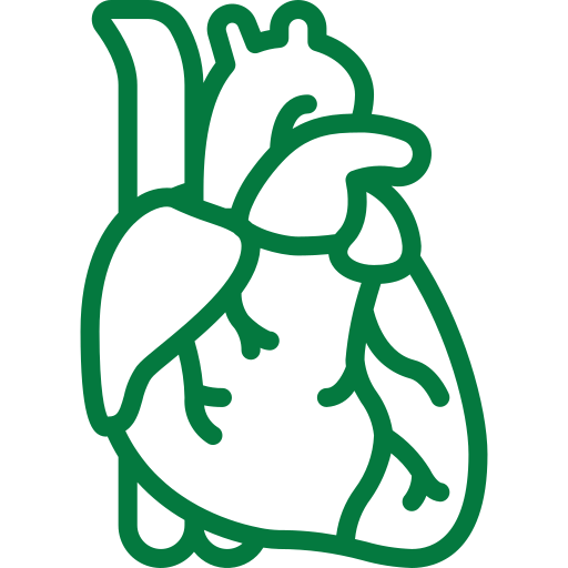 Advanced Cathlab in Chennai