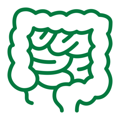 gastroenterologist in chennai