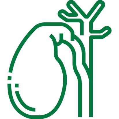 best gastroenterology doctors in chennai