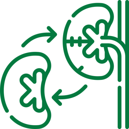 best nephrology doctor in chennai