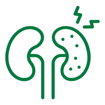 best nephrology doctor in chennai