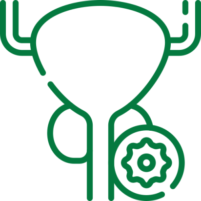 kidney stone treatment in Chennai