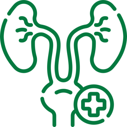 kidney stone treatment in Chennai